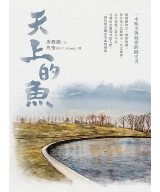書封 天上的魚
